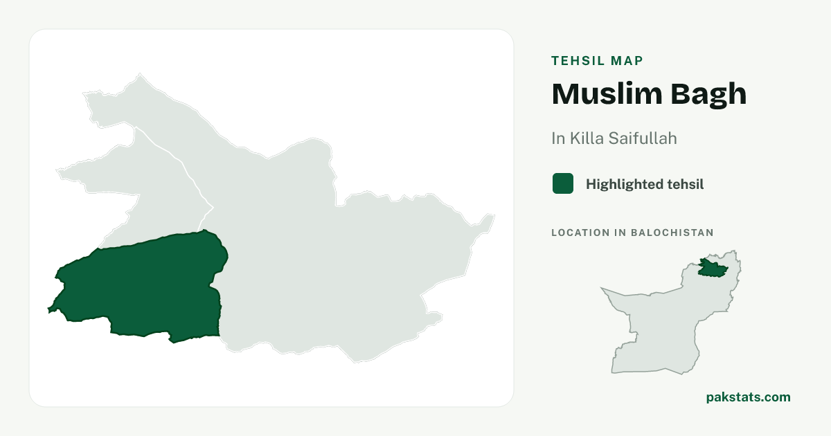 Locator map of Muslim Bagh highlighted within Killa Saifullah.