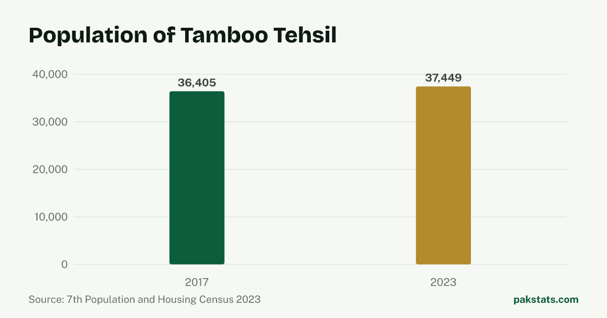 Bar chart of the population of Tamboo Tehsil at the 2017 and 2023 censuses. It rose from 36,405 to 37,449.