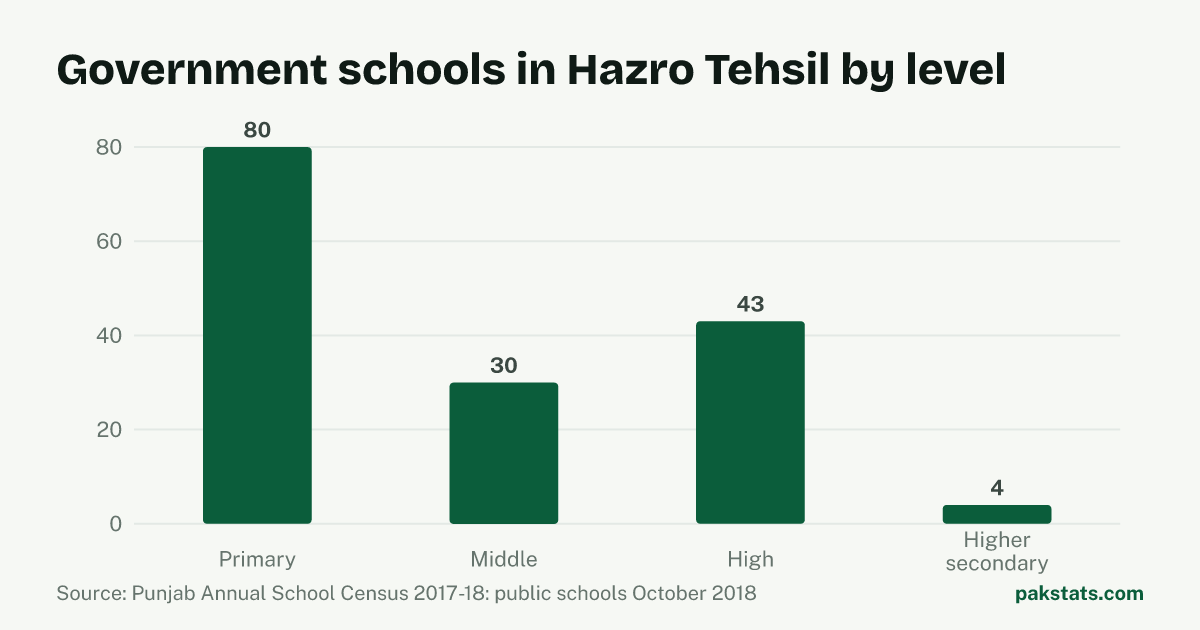 Bar chart of government schools in Hazro Tehsil by level. Primary schools are the largest group at 80.