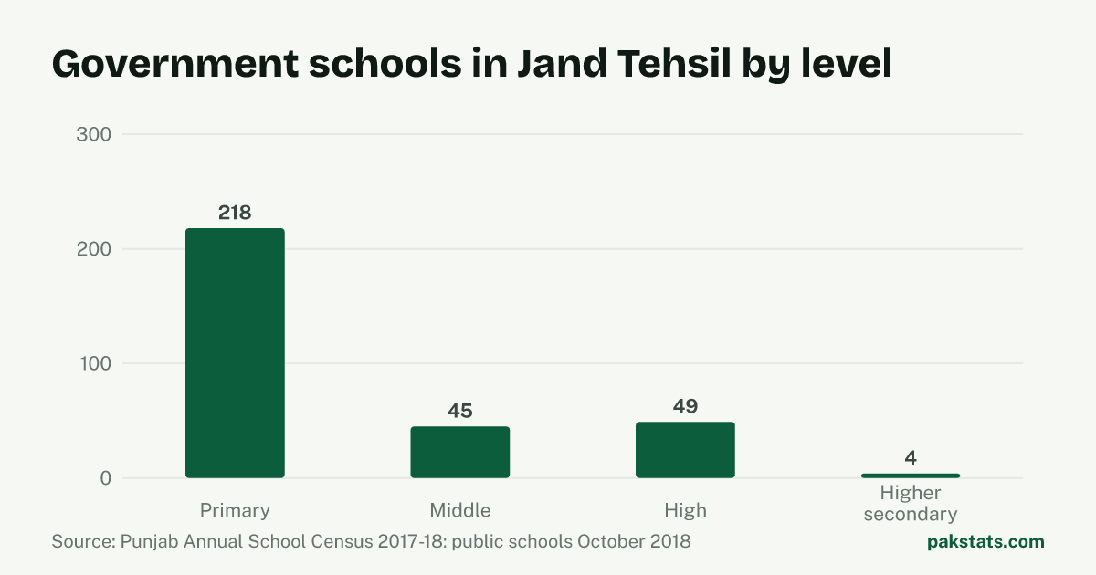 Bar chart of government schools in Jand Tehsil by level. Primary schools are the largest group at 218.